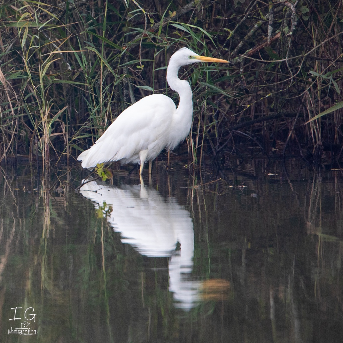 20211009  5D49016 instagram